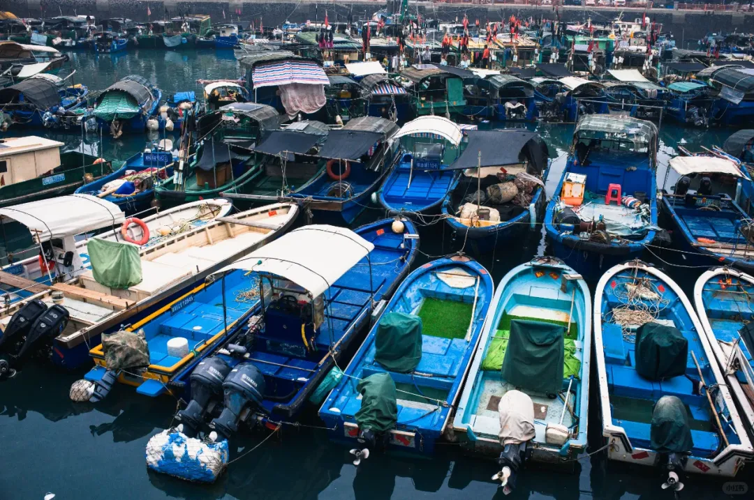 e2bbde754a61e902b628ef56e9e2f9fd-sz_2078221