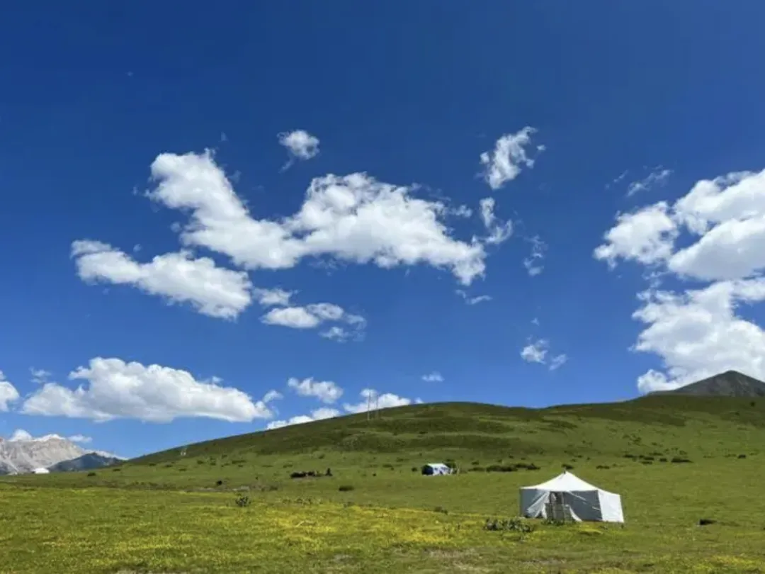 e2d27f6e006a14517ac5c8552862fcaa-sz_958853 e2d27f6e006a14517ac5c8552862fcaa-sz_958853