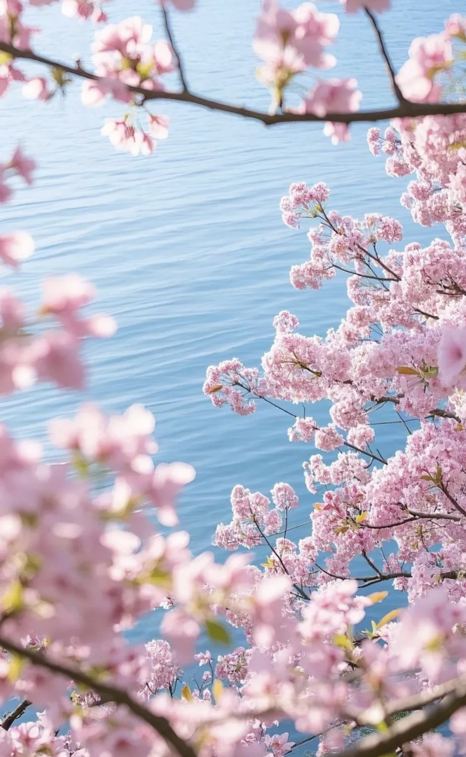 e2d961d28a662259e5059d9fe8473b85-sz_848755