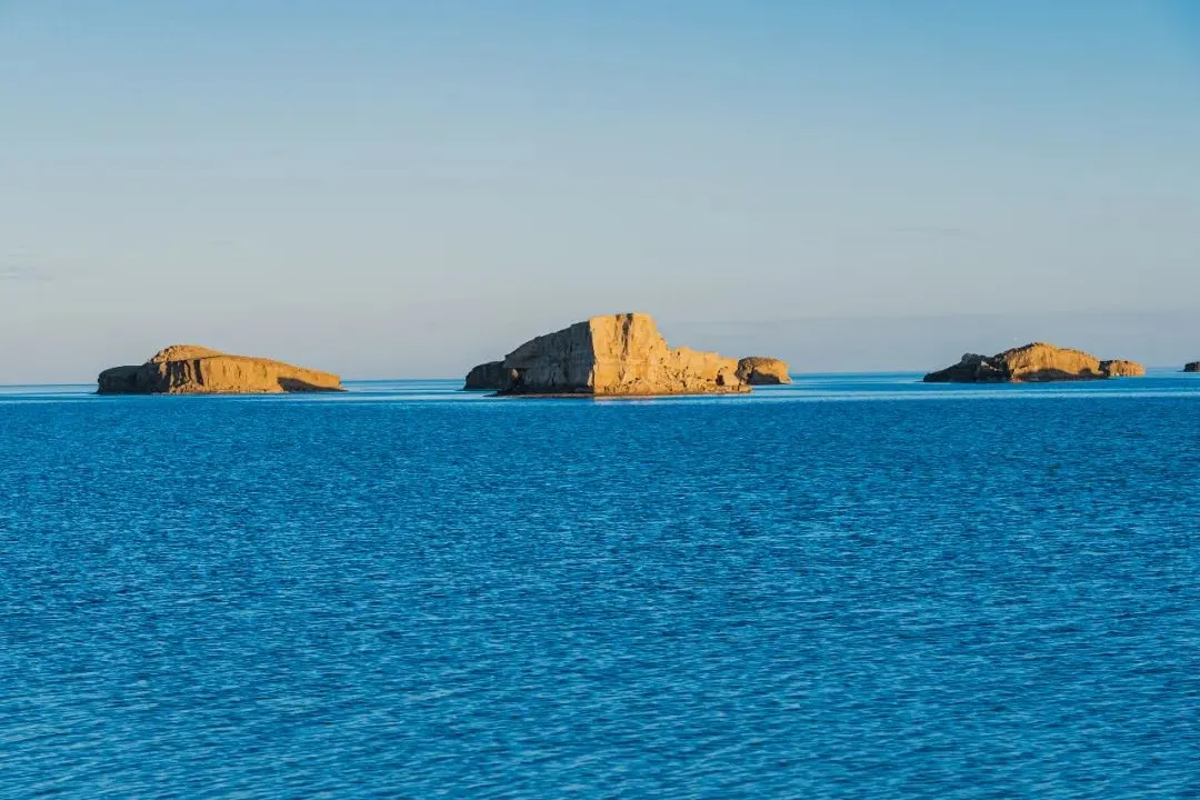 e2f8f88890158b63b2f57ef4afd70197-sz_118354