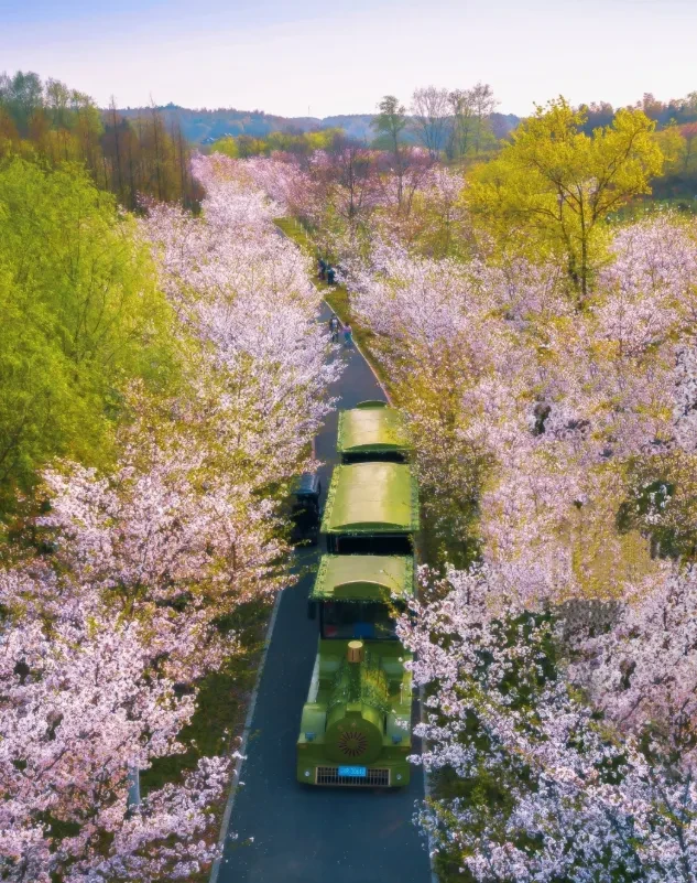 e3095a748ae1f2bc5cbb3be24022b089-sz_1298791