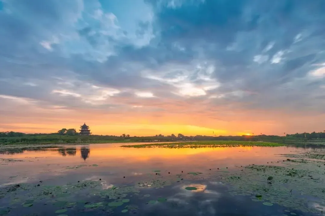 e337a37739fbefb1cb5f4e7131b4e7ec-sz_71615