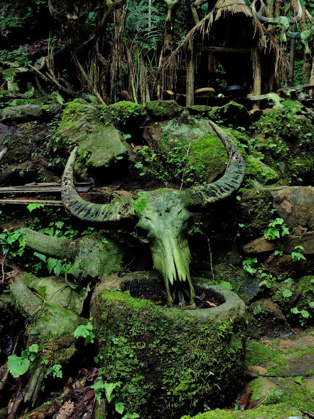 e346993a6cc45e3ef8726309a7f2a5a4-sz_3103458