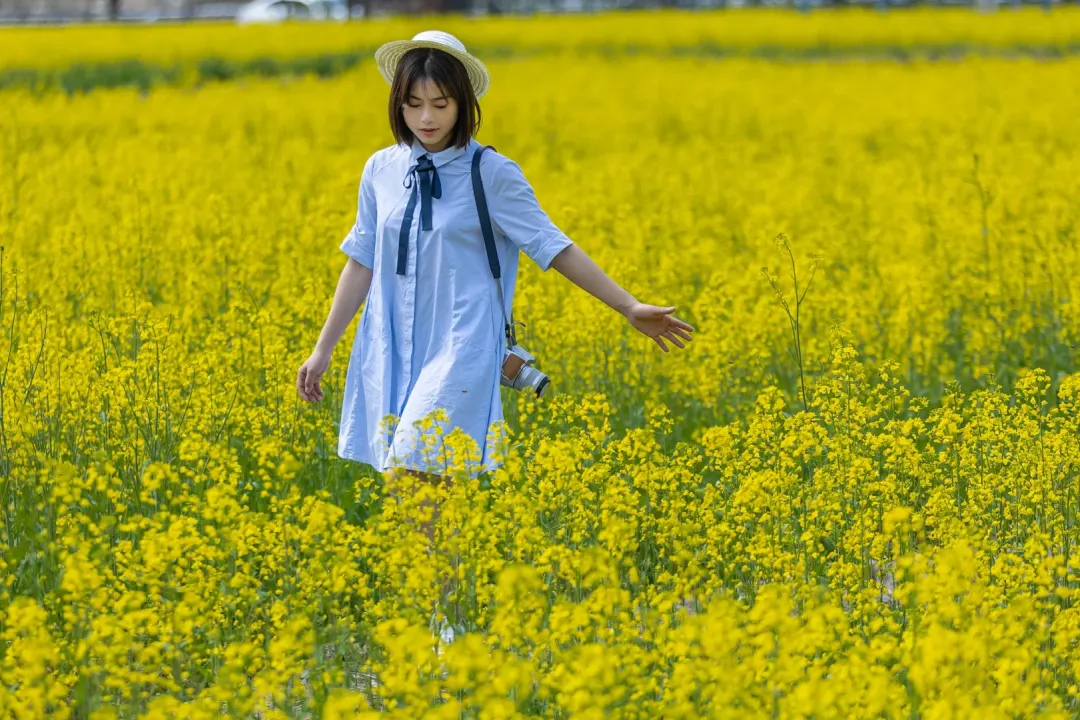 e35b8eb74da9fbb177a7e6ecefb13efc-sz_3895133