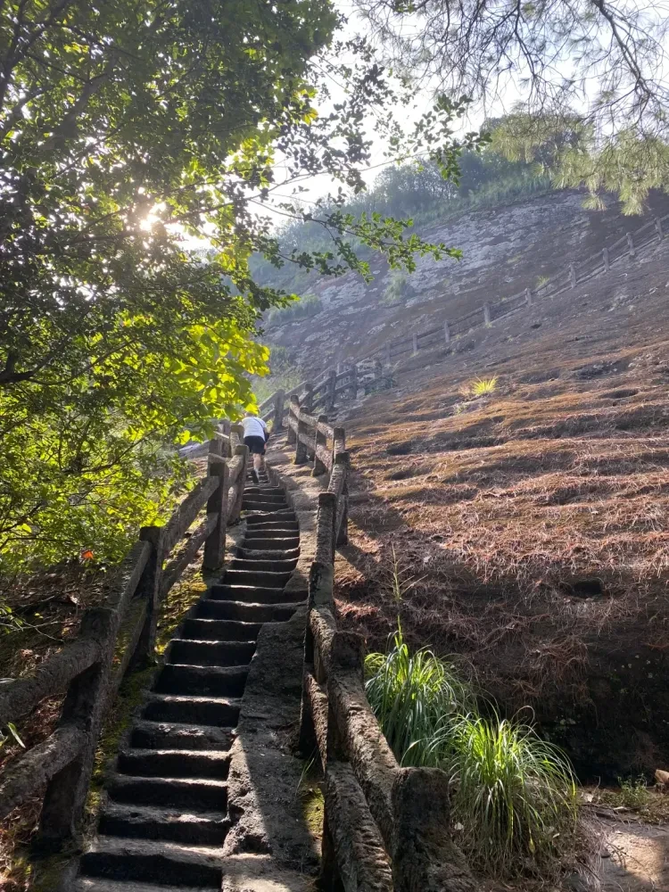 e3acb448f248f40ff9a005186cda8146-sz_3871738 e3acb448f248f40ff9a005186cda8146-sz_3871738