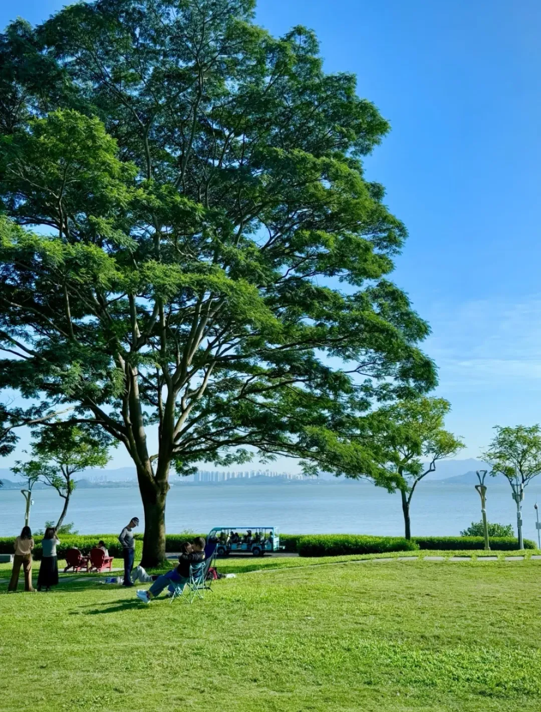 e3d037baf6eabec89dff04fa4f5723ef-sz_726208