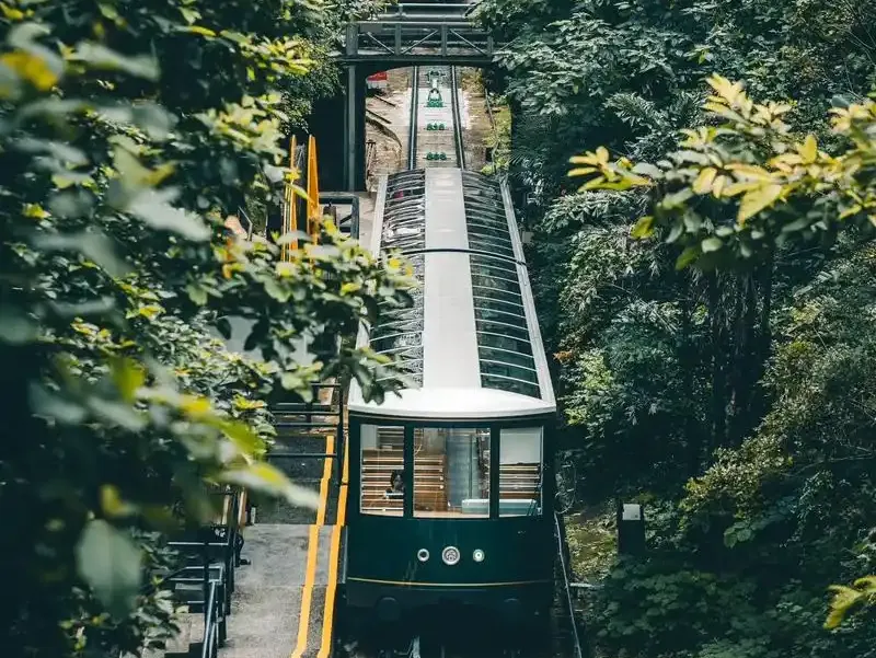 e45fc6f87f2a35d130ff6c199812421c-sz_2336768