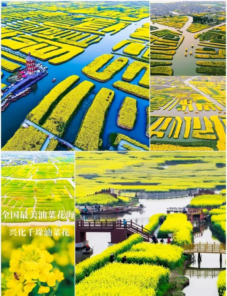 e53d2f719a2f7036ba4c9d55b2b679f0-sz_3001490