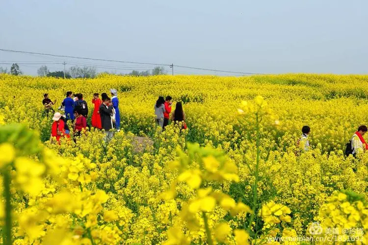 e5eee554b311a313d482e3395808067e-sz_89670