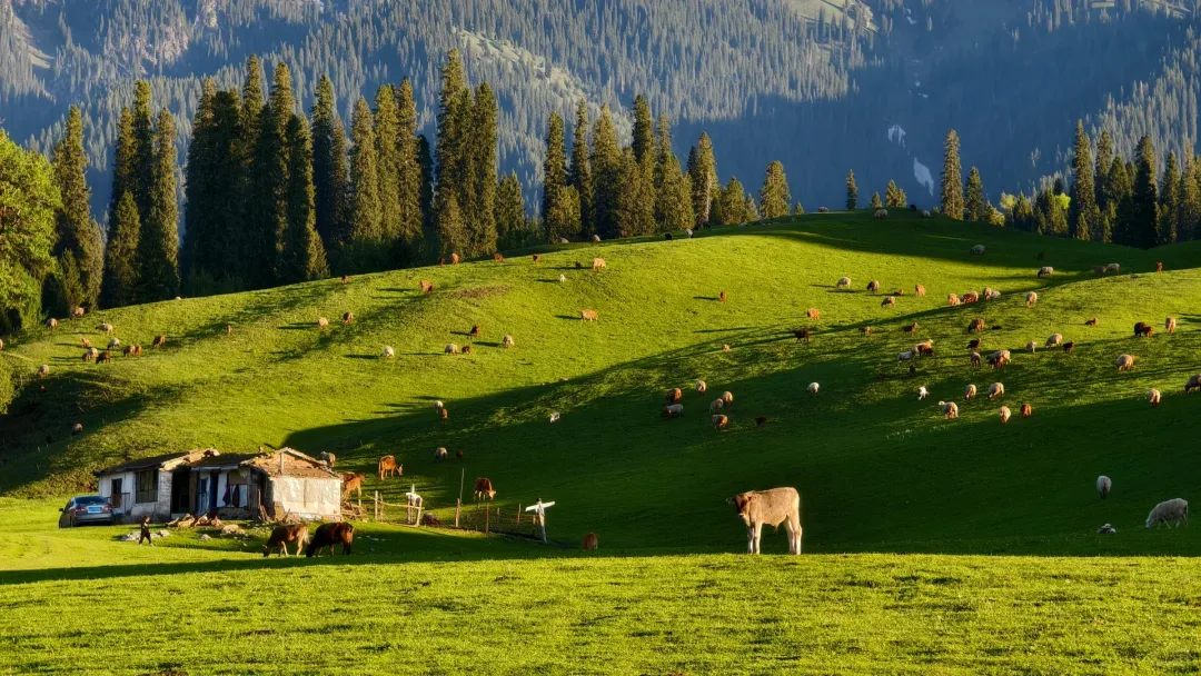 e659495c5e8f88b16fcdd8e0c10acb05-sz_918729