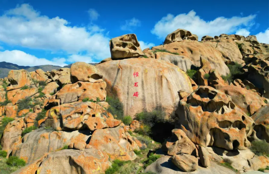 e67222e23565142167b8ff591085e498-sz_796879