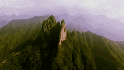 e68942201a9ecc2fcb9e2b55bcd77cc0-sz_711322