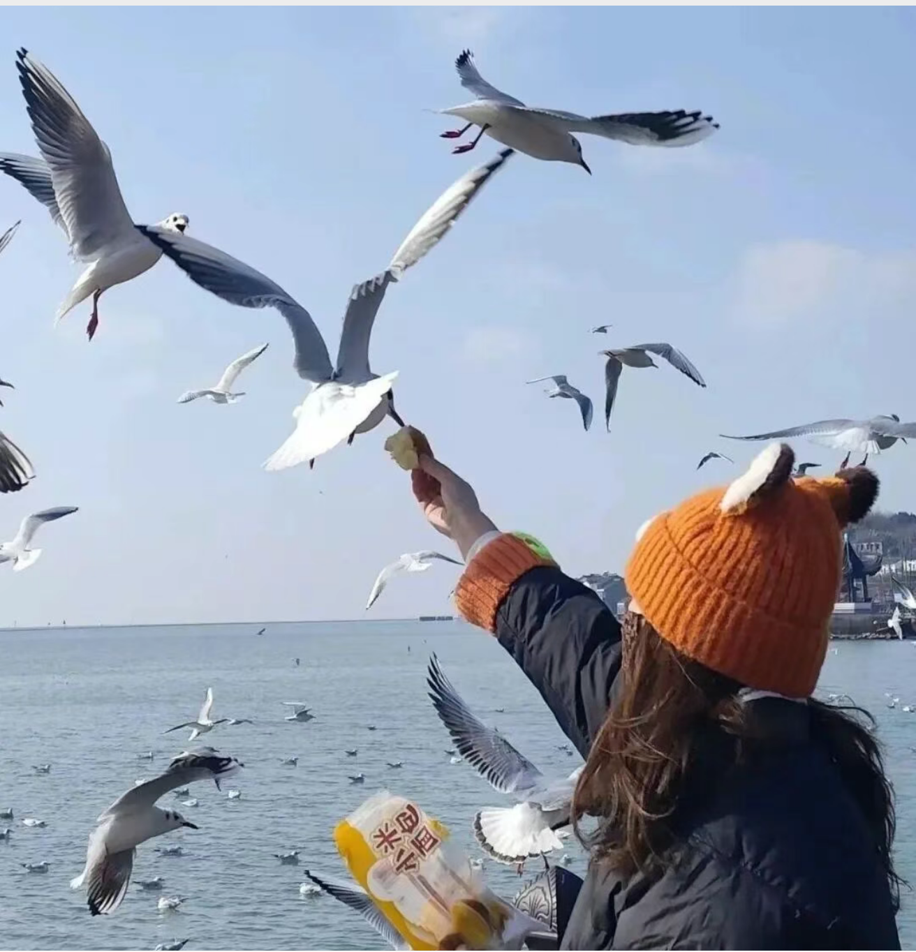 e6e972735a013eb62985acd1d53b0c4c