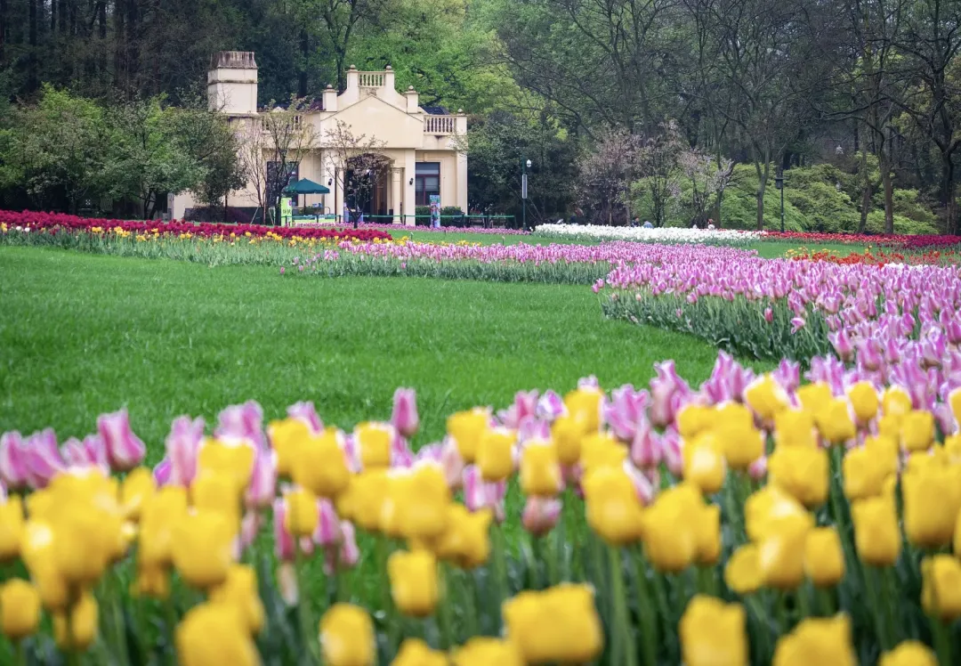 e6fcb1cc215e8eb6d7bbe9945be3aba3-sz_1287992