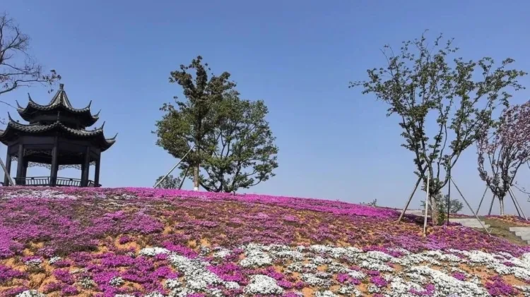 e71292df6be2063e5cd4682709429a51-sz_1003508