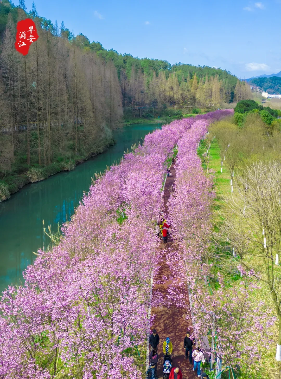 e75e163af72040e40aa2adc35a403f56-sz_3693103