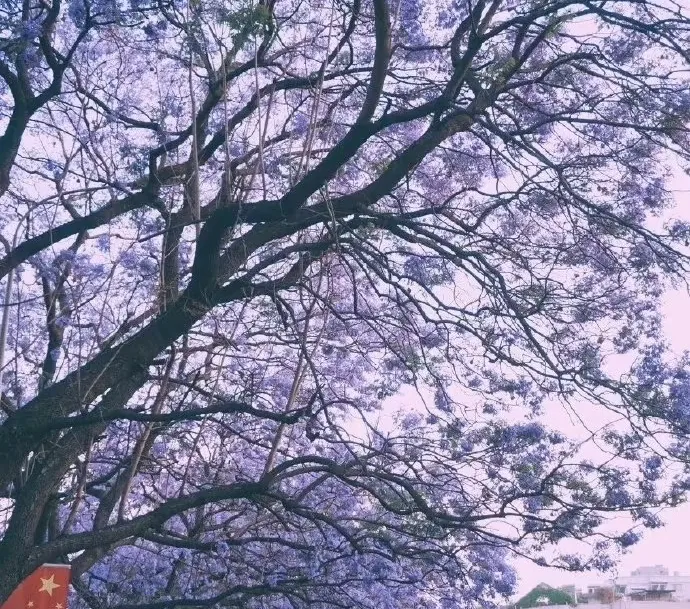 e769003a20005e633183d20ed9c27011-sz_604867