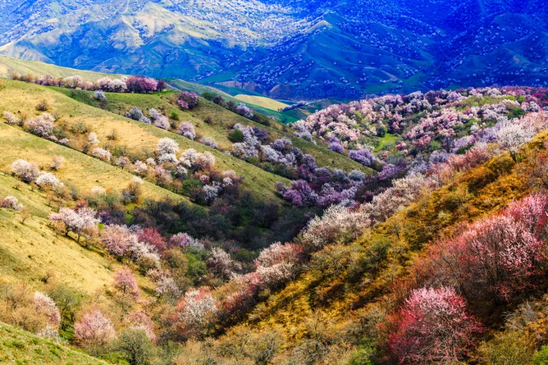 e7d41352aada9b6832ceae11c0362bb2-sz_1661926