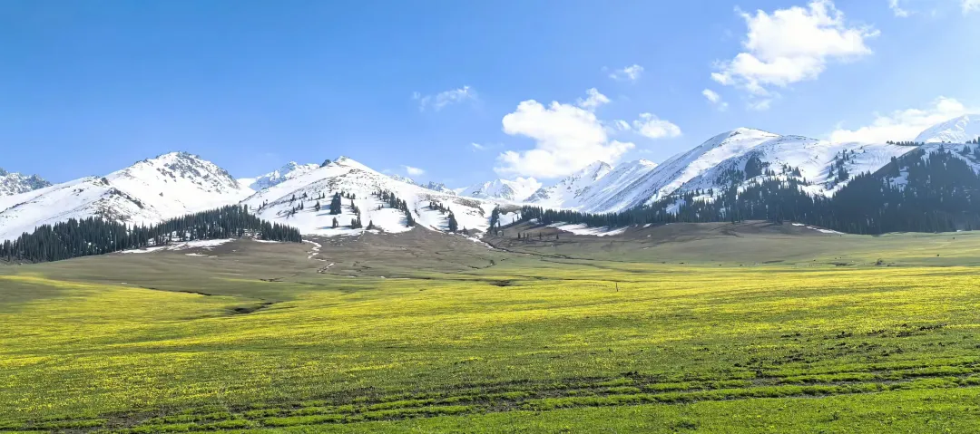 e8181c184f7ae39bae58b6c2ff2557aa-sz_2678391