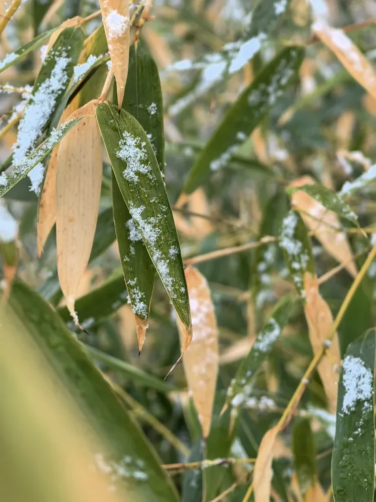 e83d1b3e98d9cfe06fbd3e22ff94ec85_sz-961714