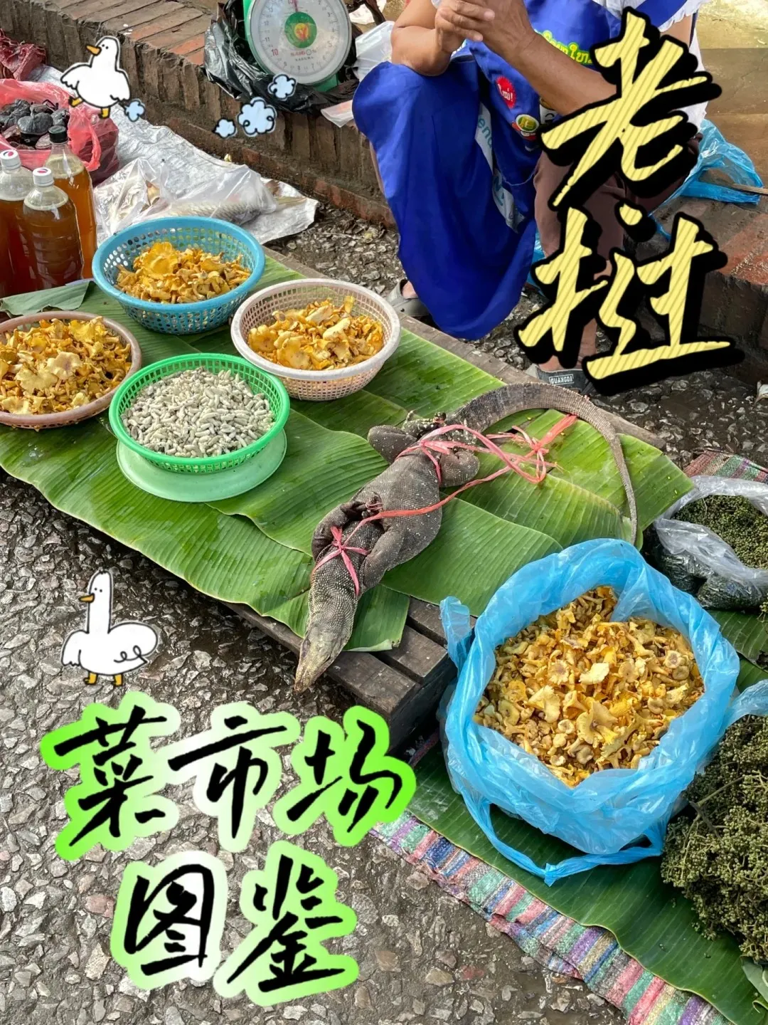 e874aeb71bb47e3572e568071e60391c-sz_617006