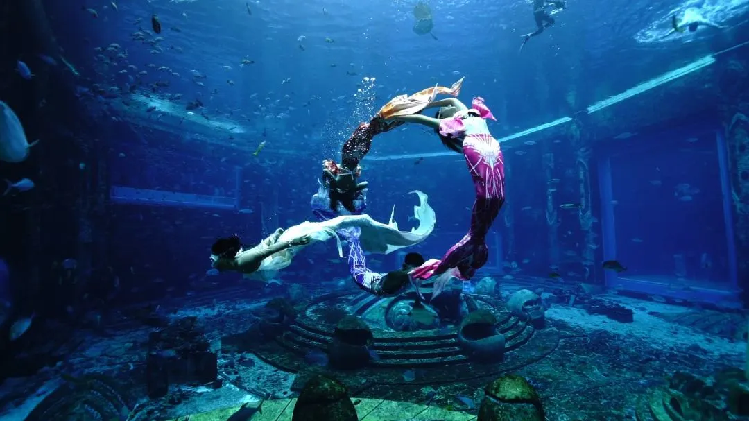 e8b90d80feb0e77c9f87564ff578977e-sz_1435021