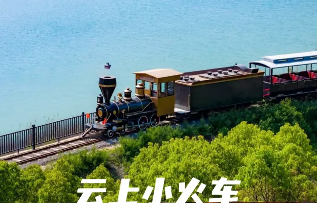 e8cedacf64d8e6bbb4cb396a9bb7e6c3-sz_540798