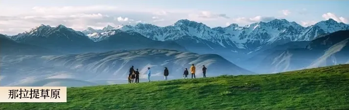 e9296b9d526d25d1080e3095b59d0b20-sz_997671-1