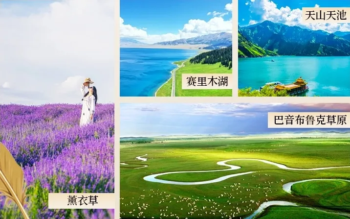 e9296b9d526d25d1080e3095b59d0b20-sz_997671-2