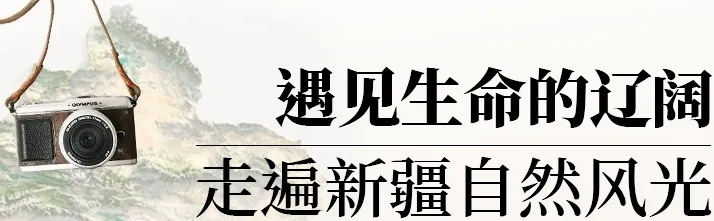 e9296b9d526d25d1080e3095b59d0b20-sz_997671