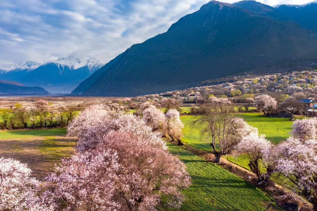 e92f835eb085a7683785eefb1b8fa8ff-sz_724171