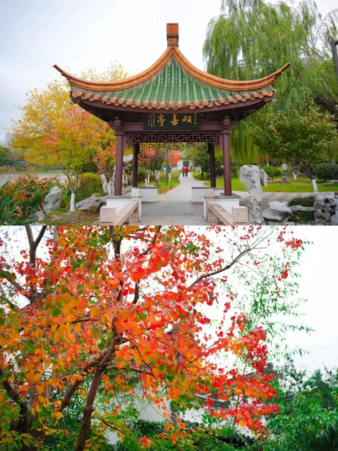 e959942982d2054da9614f4c09d3218d-sz_337514