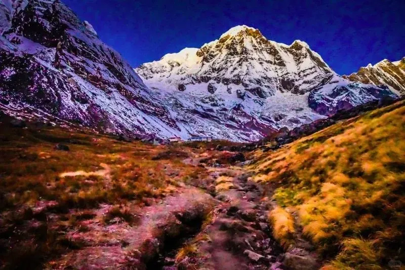 ea1fd0c211b8228e68ace74f67dcc330-sz_153789-1