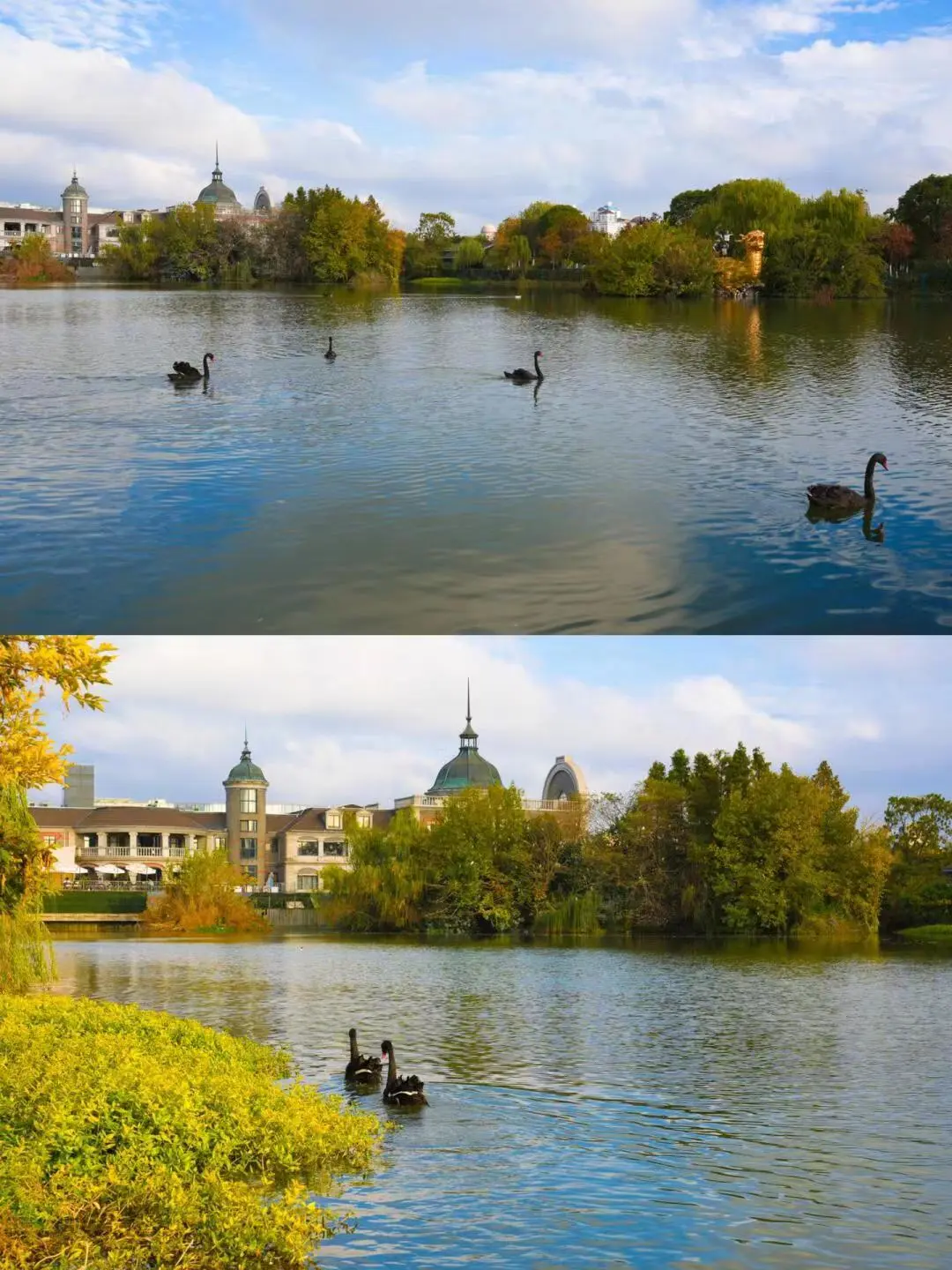 ea24d8b6cb0f3251f47c2415ee71d17a-sz_235553