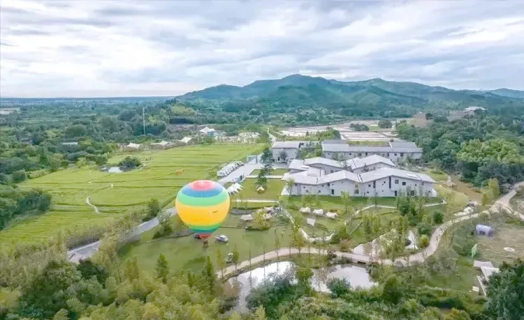 eaaa73e918d0ea1bedccddda4fc71b32-sz_111590