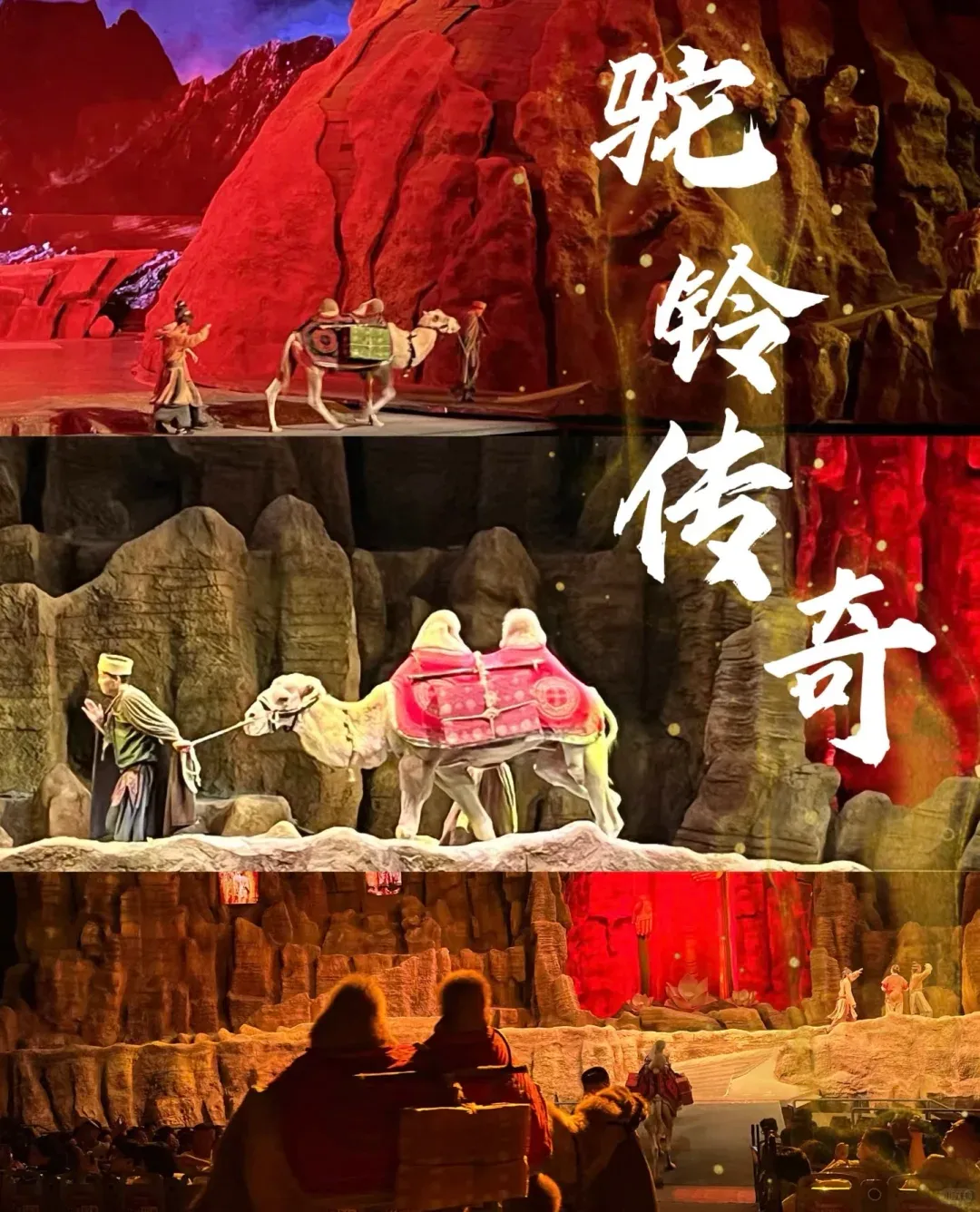 eaf370268dca0ddb583a3b02c254a8d9-sz_2950403