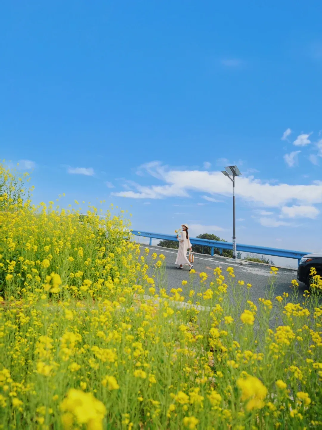 ec1602be685aff662c0ab2b88ba55151-sz_2457690