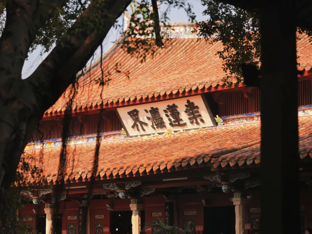 ecf2e0f6114424ccf36748f69b00fd97-sz_2030182