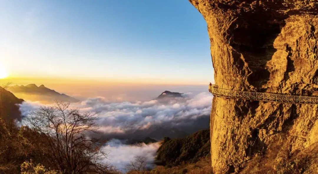 ed1cc2967fde947b392e4304e89551ea-sz_1567225