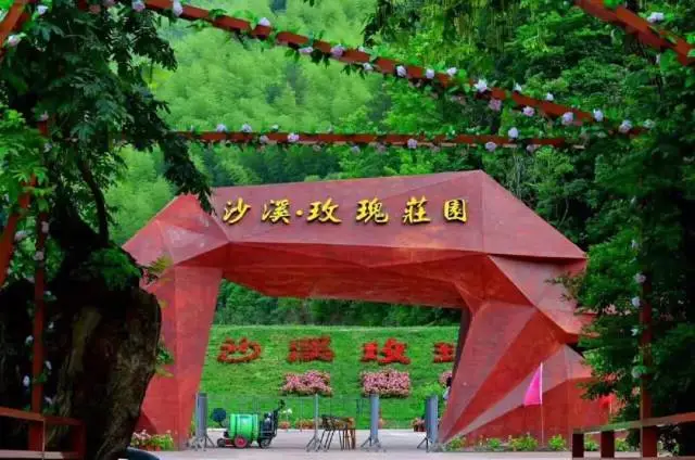 ed1d4205d4554e9d1de9c3f553f97433-sz_51992