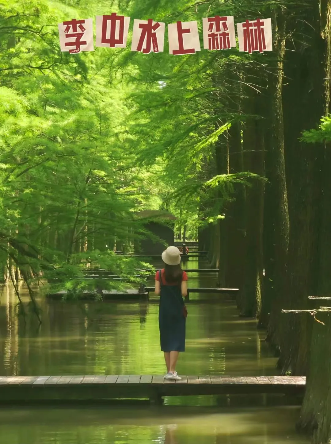 ed4d38bd5b674701bed817a0cd1fa8c4-sz_229983