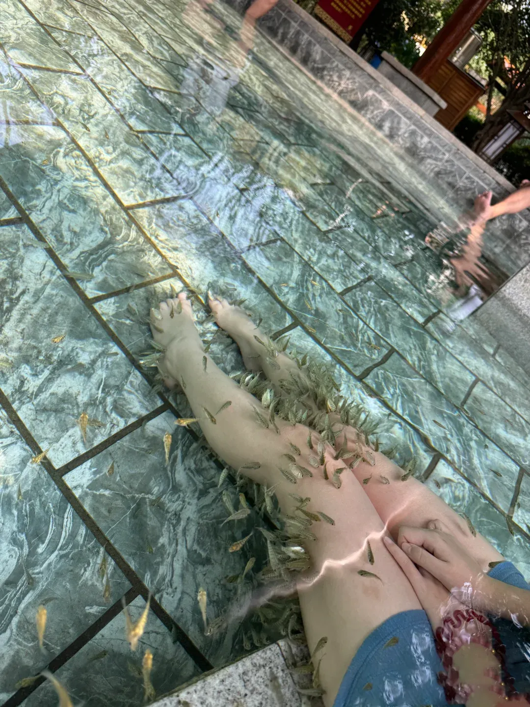 ed4d6435972f3210a10c189e89436f03-sz_2488544