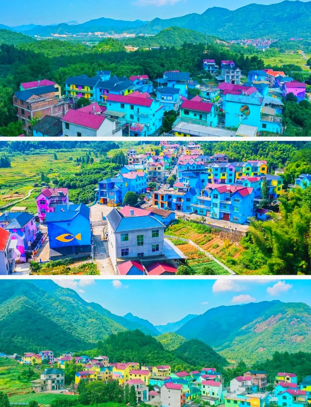 ed5fe3961ca504ce8d8a38e094eb0e56-sz_344406