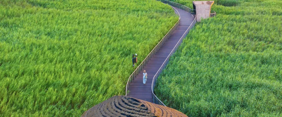 edaafd13d7b5fa3d3b3fb328d3451677-sz_1362297