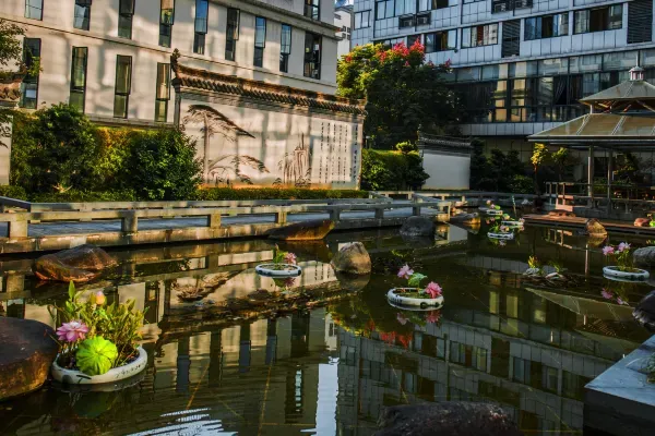 edc8d167cd658556f4fa6183e1fe39cf-sz_458272