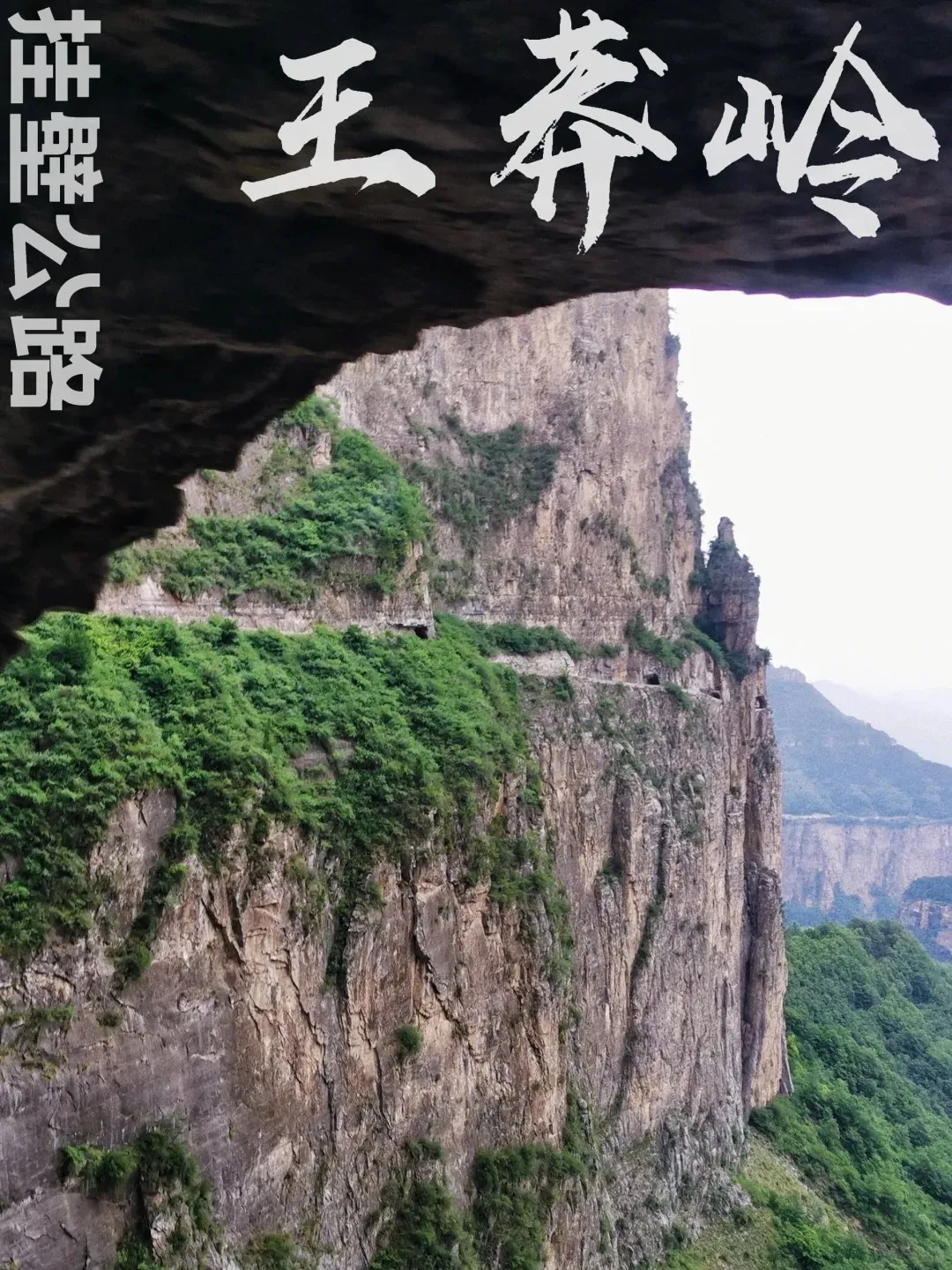 edde9741640d38945d0f8d33cde70045-sz_2321497