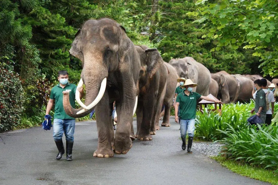 ee379d4a140bd65fa5a1397e9295e52a-sz_1652470