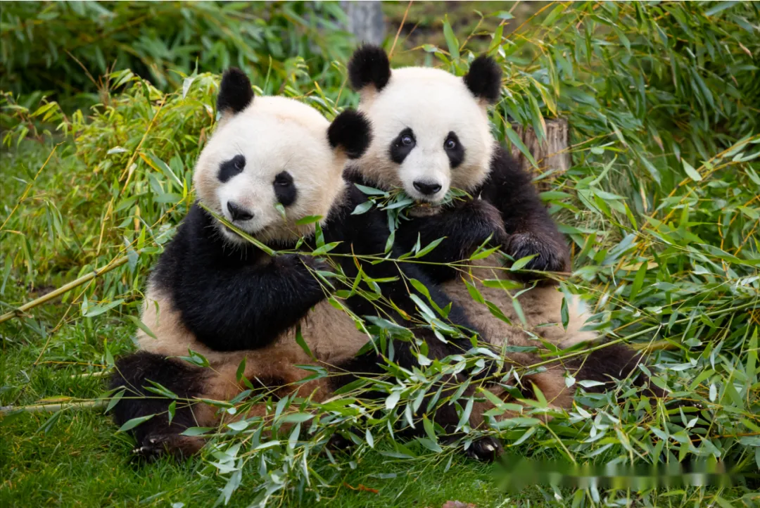 ee60115cfe6d6e409a57d25a48d51891-sz_2209986 ee60115cfe6d6e409a57d25a48d51891-sz_2209986