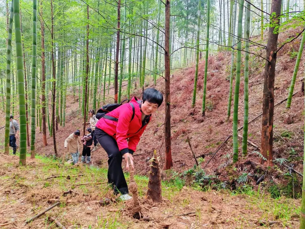 eed06eff4a5d8f1a95da443833c2799c-sz_291114