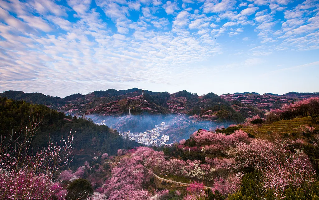 ef35a1ff65420eeb3473510b12abe6ff-sz_1114509